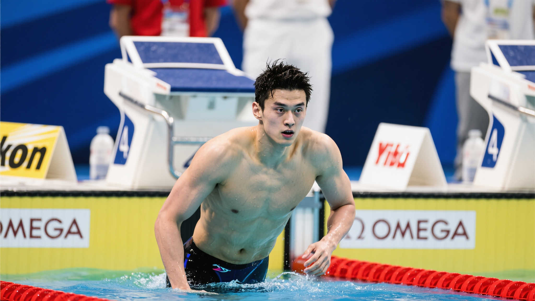 在本届赛事 在本届赛事